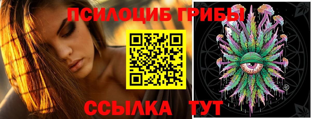 Киселёвск  Галлюциногенные грибы Psilocybine cubensis  Галлюциногенные грибы Psilocybine cubensis  Вход с VPN 